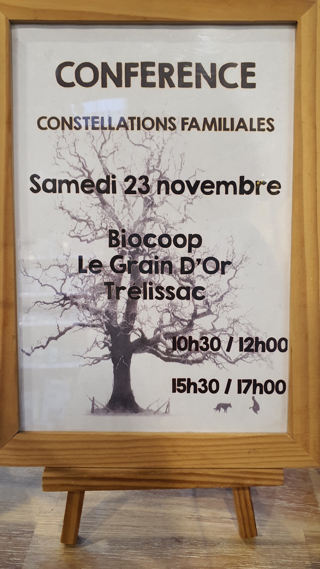 Conférence « Constellations familiales » samedi 24 novembre