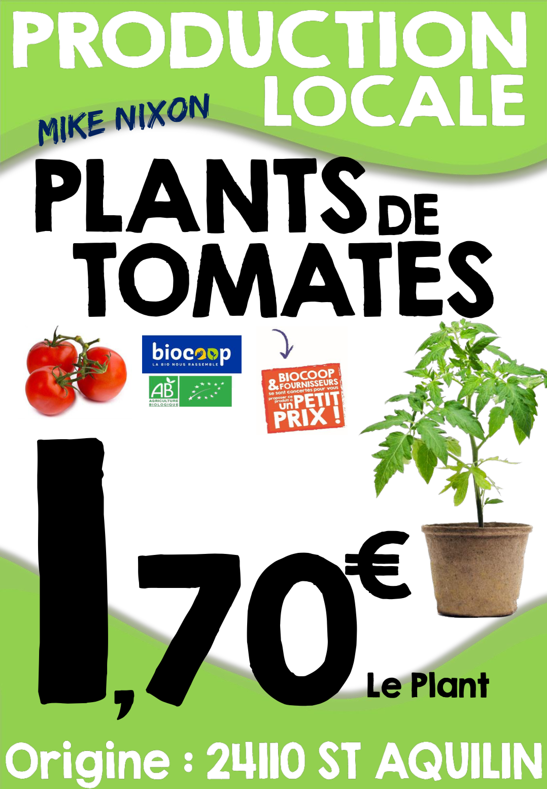 Les plants de tomates du Périgord sont arrivés !